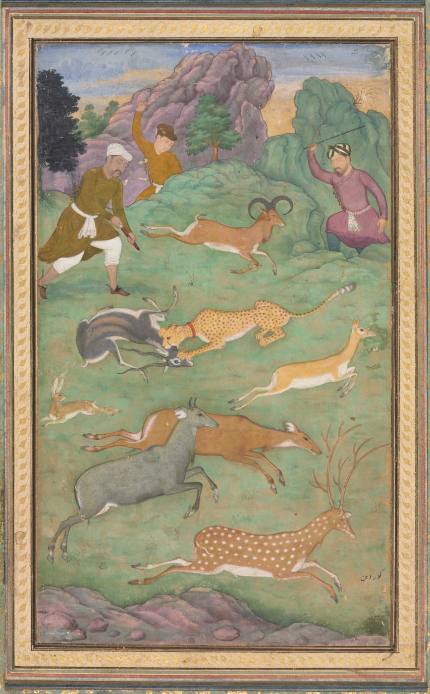 Mughal painting of a hunt in an open green landscape: a spotted cat in a red collar has seized a blackbuck by the throat while other antelope, a nilgai, a hare and a spotted deer flee across the field, watched by three men.