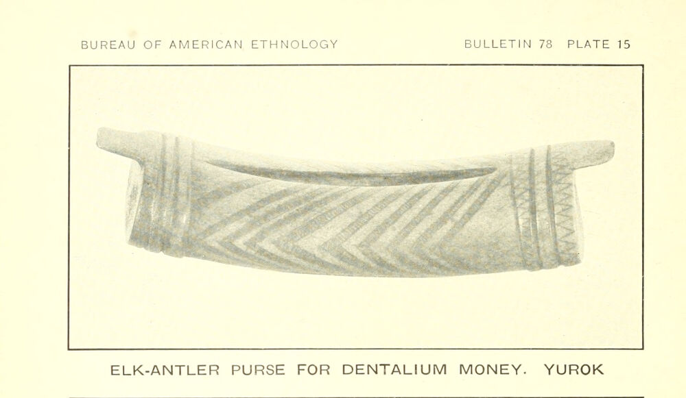 Illustration of a carved elk-antler purse used to hold dentalium shell money, Yurok, from Kroeber's 1925 Handbook of the Indians of California, Plate 15.