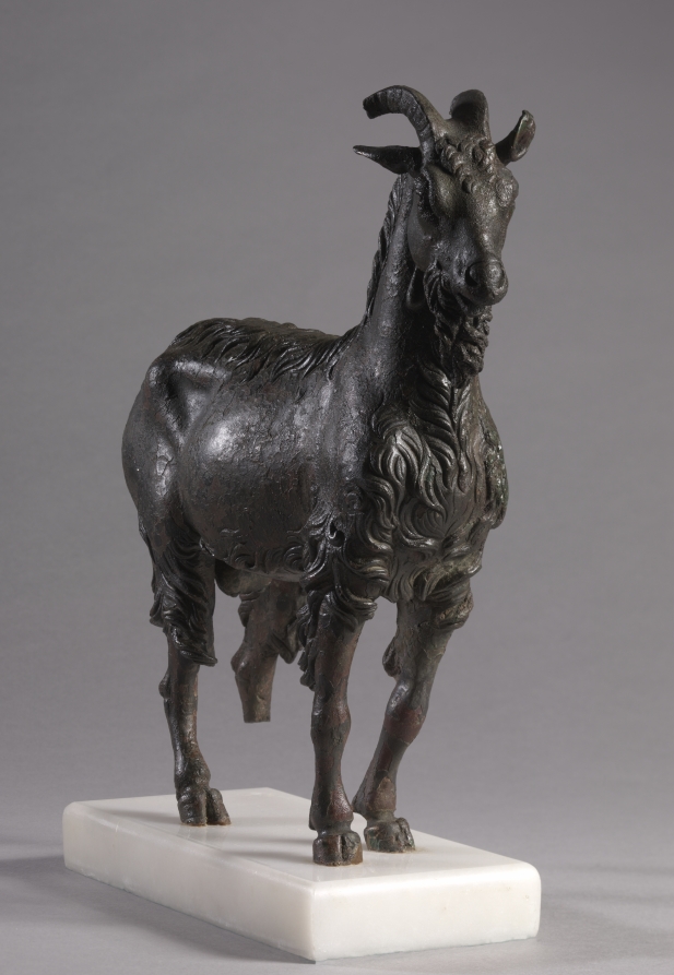 Hellenistic Greek bronze statuette of a standing goat with backswept horns, a beard and a long-haired coat, mounted on a white base.