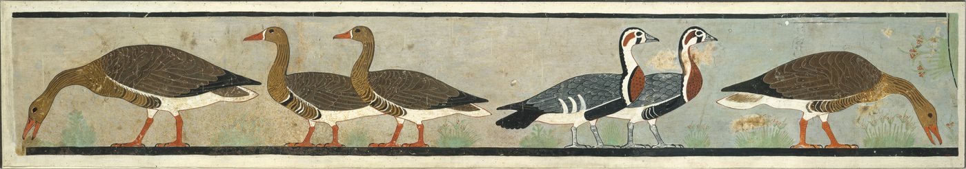 Facsimile painting of six geese in a row, three facing left and three facing right, from the Old Kingdom tomb chapel of Nefermaat and Itet at Meidum.