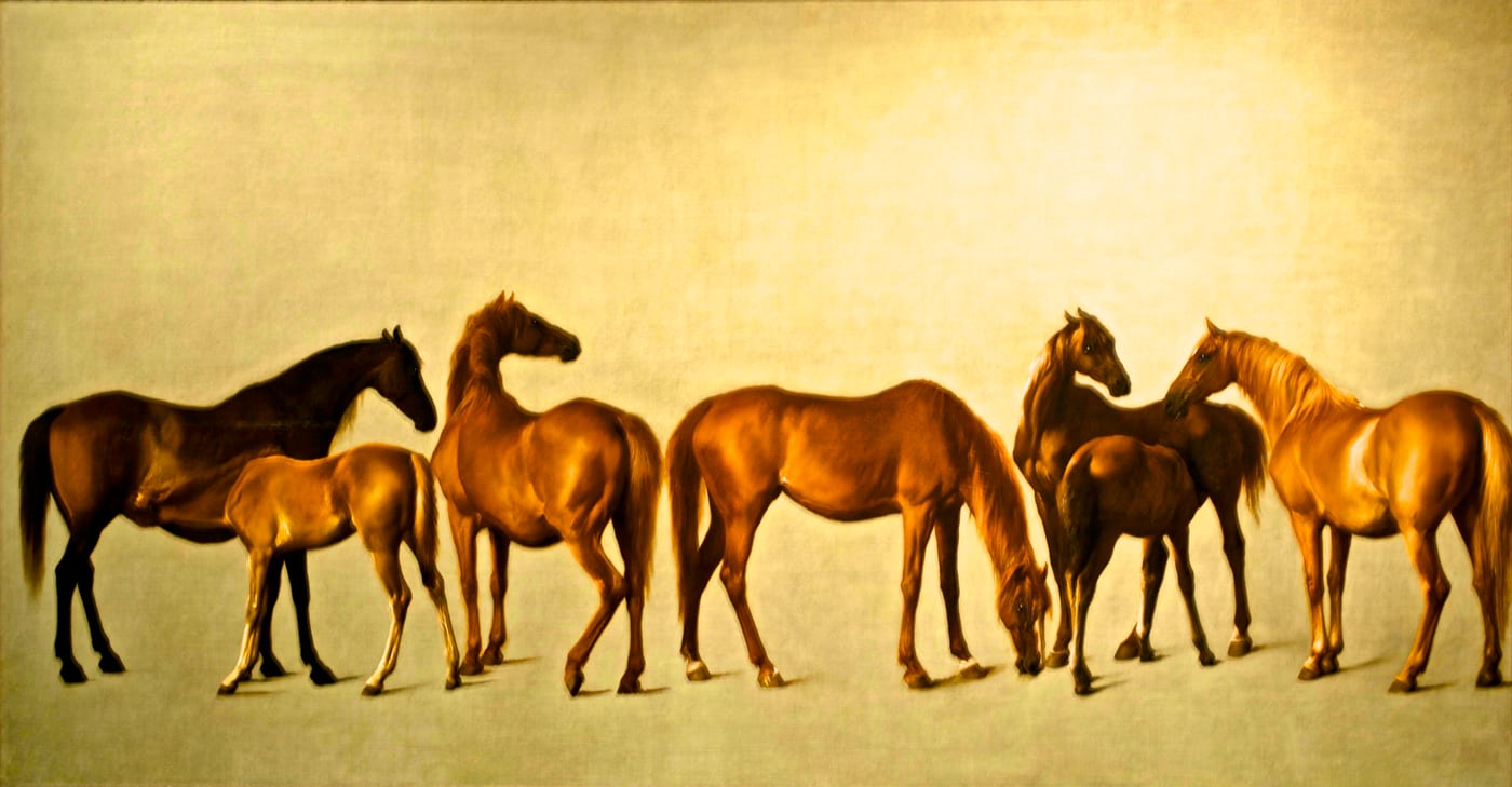 Oil painting of mares and foals — the horse transformed Lakota culture and holds a central spiritual role.