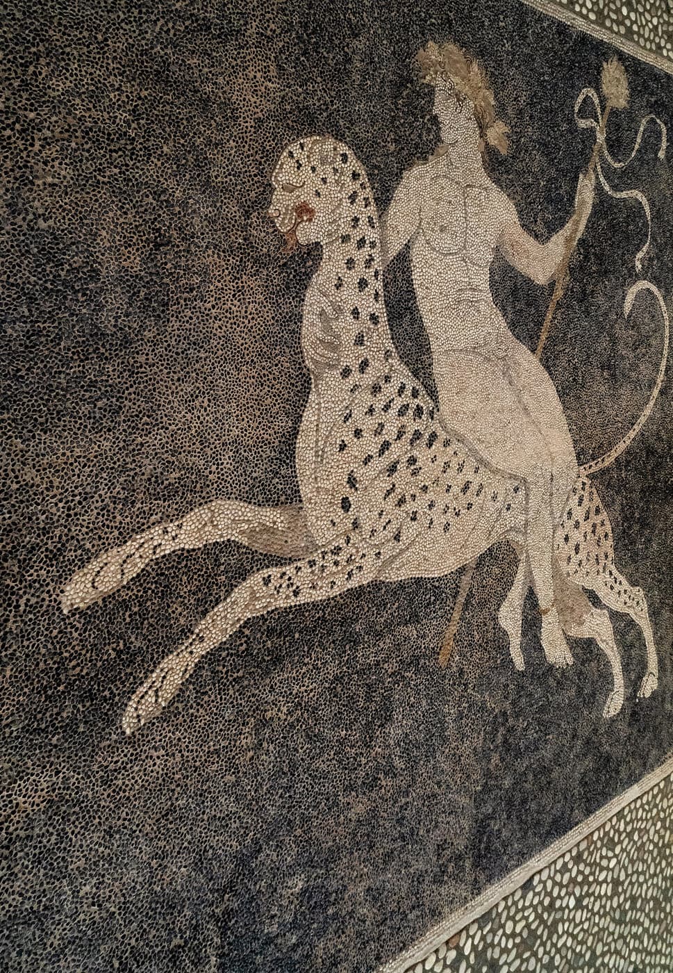 Hellenistic pebble mosaic of Dionysos riding a spotted big cat, holding a thyrsos, the animal's spots rendered as solid dark blobs against a dark pebble ground.