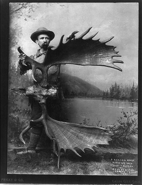 A man holding a large set of moose antlers in a photograph captioned 'A record moose,' Canon City, Colorado, circa 1897.
