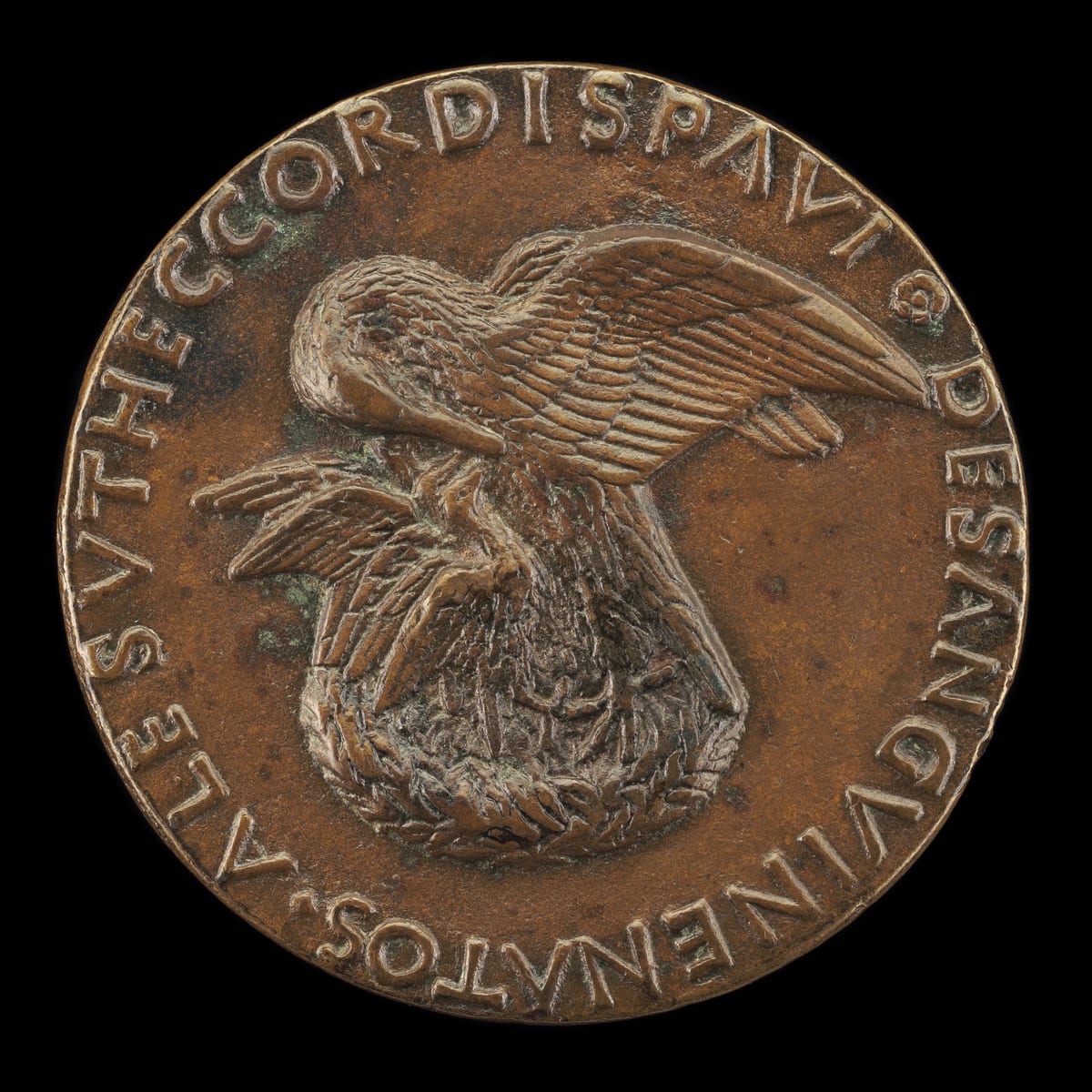 Bronze Renaissance medal, reverse, showing a pelican with wings spread standing over a nest of young and bending its head to its own breast, with a Latin inscription running around the rim.