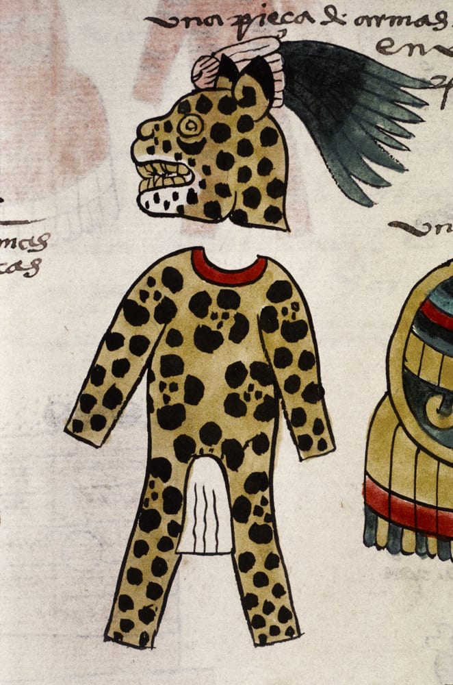 Aztec Jaguar Warrior illustrated in the Codex Mendoza, folio 65r, 1541, showing an elite Mexica warrior in a full jaguar pelt costume, Bodleian Library, Oxford.
