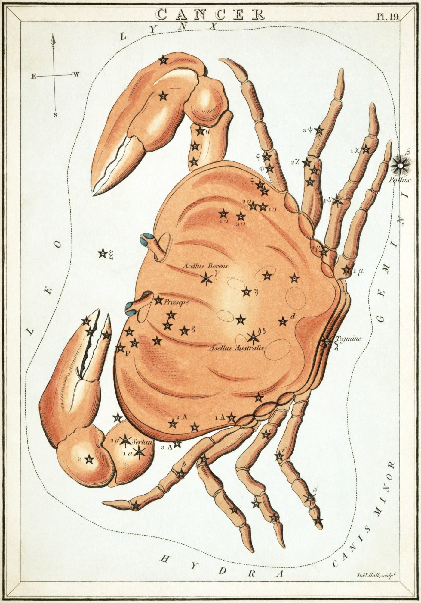 Cancer the Crab from Urania's Mirror, engraved by Sidney Hall, 1824, a large crab with constellation stars mapped across its shell.