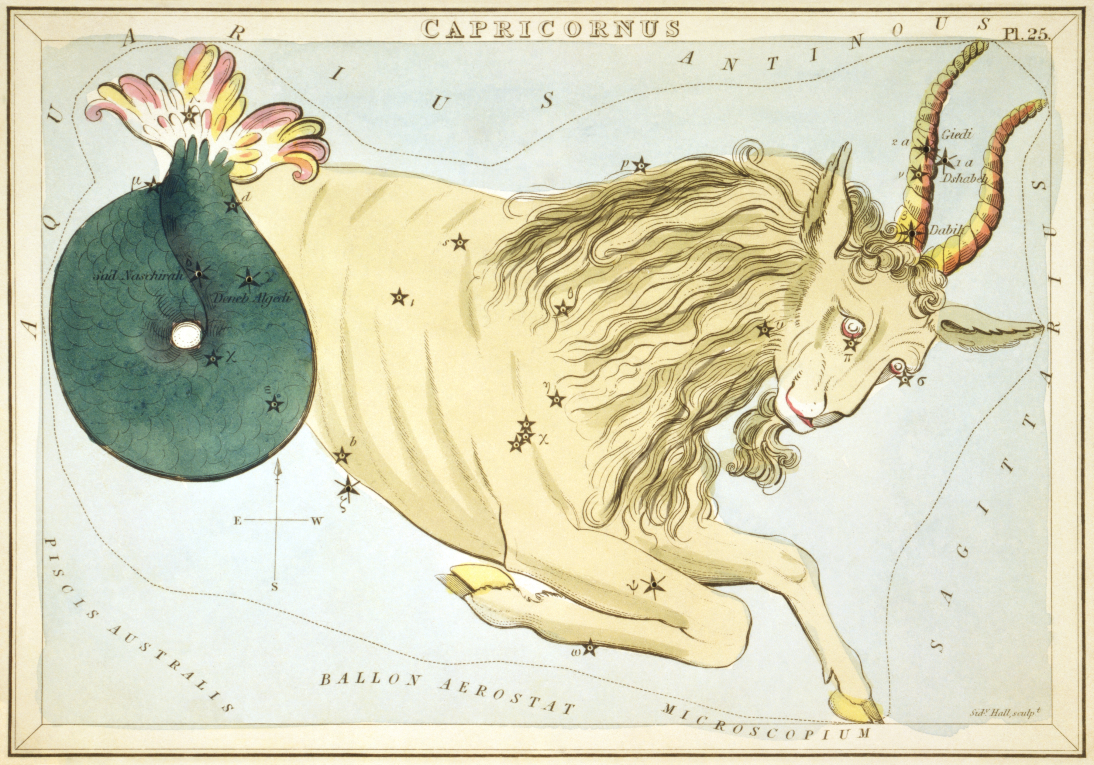 Hand-coloured copperplate engraving by Sidney Hall (c. 1825) showing the constellation Capricornus as a sea-goat — forequarters of a mountain goat, hindquarters of a fish — from Urania's Mirror.