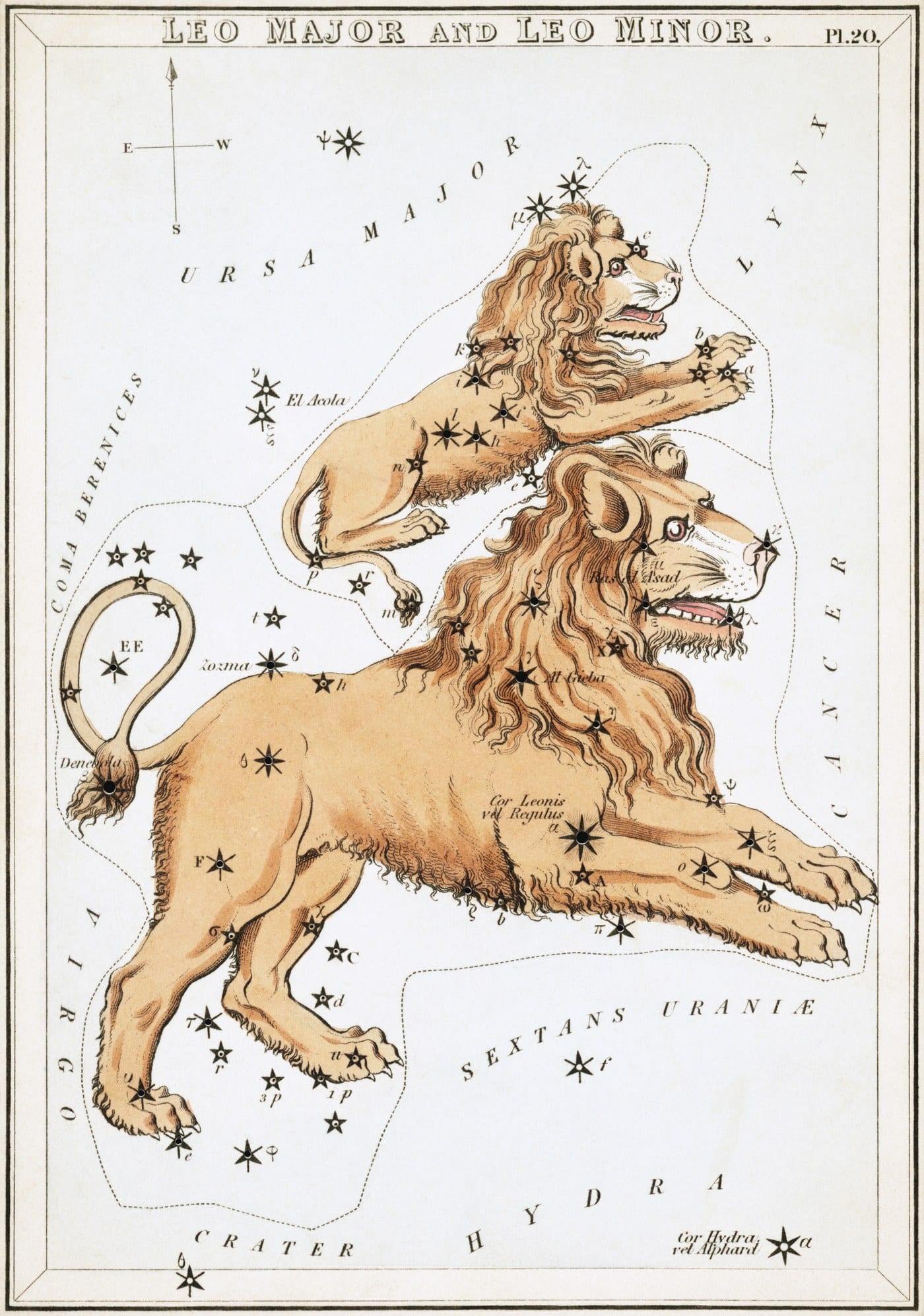 Leo the Lion from Urania's Mirror, engraved by Sidney Hall, 1824, a lion in profile with Regulus and principal stars marked across its body.