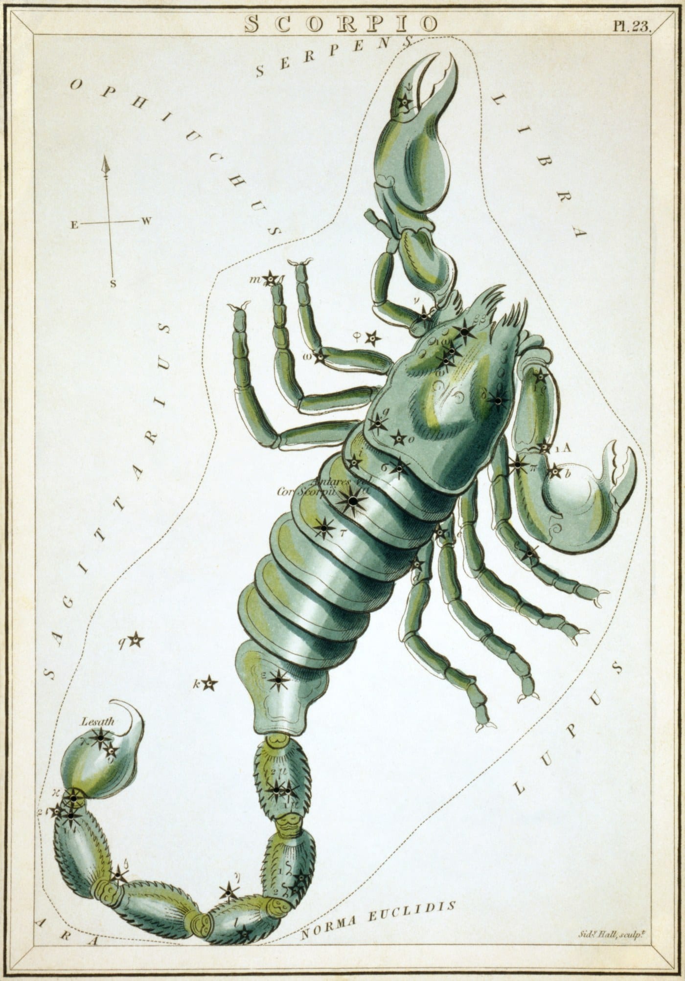 Scorpio the Scorpion from Urania's Mirror, engraved by Sidney Hall, 1824, a scorpion with Antares marked at the heart and the tail curving across the card.